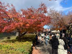 -名古屋城
