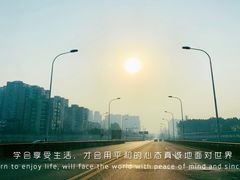 -白鹭湾湿地公园