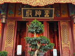 -真庆观