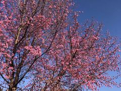 -天龙八部武侠城