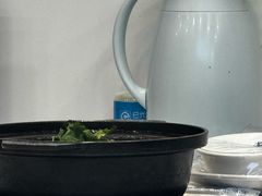 -小胖子羊肉馆·烧烤(龙茗路店)