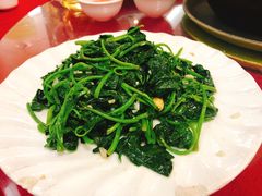 蒜蓉炒番薯叶-肥仔顺德菜(龙悦居店)