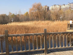 -成吉思汗公园