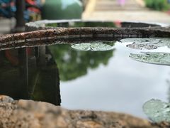 -巡塘古镇