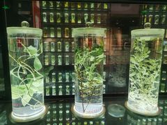 -广东中医药博物馆