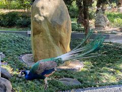 -华雅花园大酒店