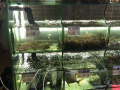 水产区-覃记海鲜美食餐厅