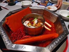 -蜀九香火锅(九眼桥店)