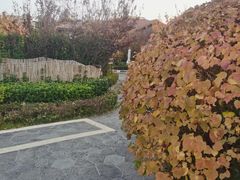 -大连金石滩绿发温泉假日酒店