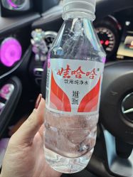 -薇薇安花系SPA