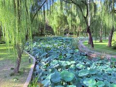 -北京密云天门山风景区