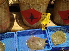 -帝一铭家宴(板塘店)