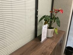 -谢冬律师团队·专注离婚案件·君澜律所