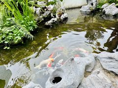 -道南書院·私房菜·早午茶·茶馆