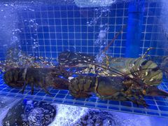 -方记海鲜大排档(乐山形象店)
