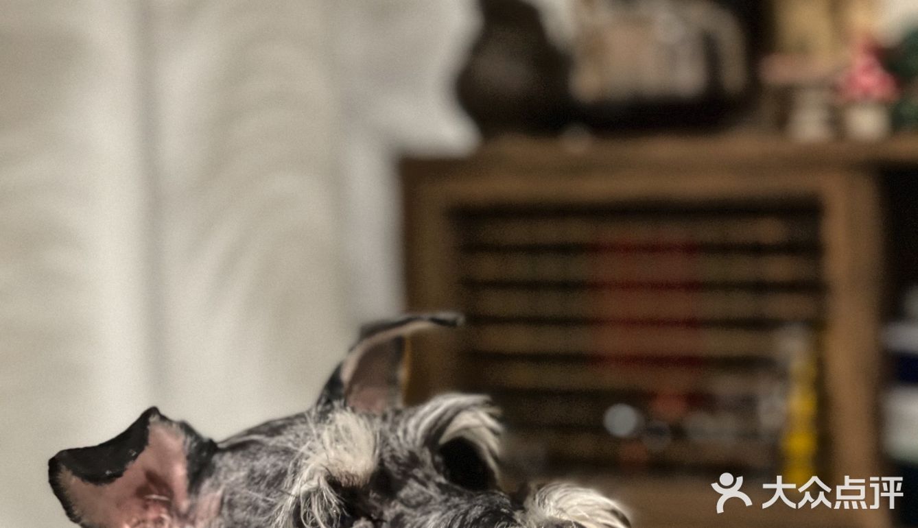 郑州居民楼这家陶瓷美学工作室太美了，9图根本放不下