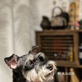 郑州居民楼这家陶瓷美学工作室太美了，9图根本放不下