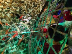 -酷嗒动物文化乐园(cutezoo西溪乐天城店)