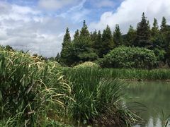 -贵阳市花溪国家城市湿地公园