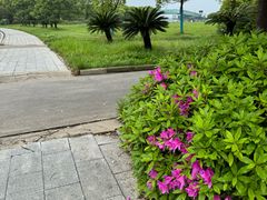-南昌昌北国际机场