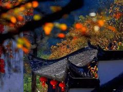 -塔川景区