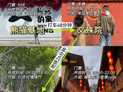 -成都大熊猫繁育研究基地