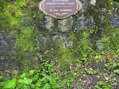 -苍山感通索道