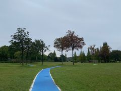 -宜兴龙背山森林公园