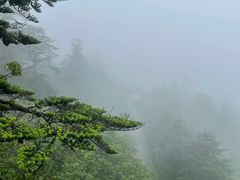 -峨眉山风景名胜区