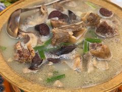 -白羊坡