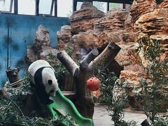 -石家庄市动物园