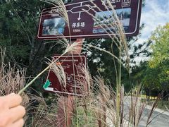 -永定河休闲森林公园