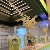 健康果蔬帮节后胖6斤的我减减肥吧