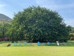 -三亚南山文化旅游区