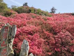 -木兰云雾山
