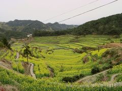 -灵山景区梯田