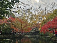 -秋霞圃