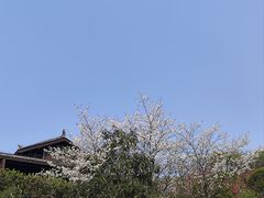 -重庆园博园