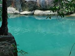 -广州白江湖森林公园