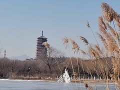 -永定河休闲森林公园
