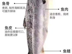 -十五大街农贸市场