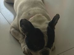 -惠康宠物医院(华能路店)