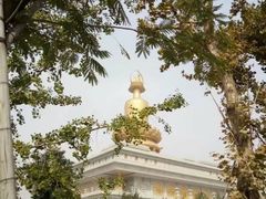 -兴隆文化园景区