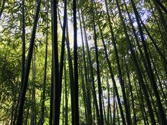 -陕拾叁(袁家村店)