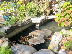 -谷咖啡·鲜花绿植花园餐厅