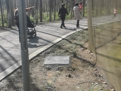 -昆山城市生态森林公园