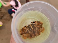 -嵊泗基湖沙滩