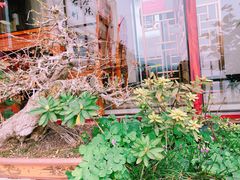 -东湖食堂·湖景餐厅•会议