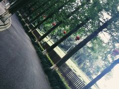 -拾溪餐厅·包厢(杭州千禧度假酒店)