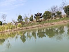 -南湖湿地公园